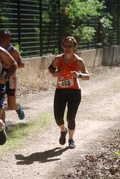 Cross Trofeo Città di Nettuno [TOP] [OPES]  (02/06/2018) 00095