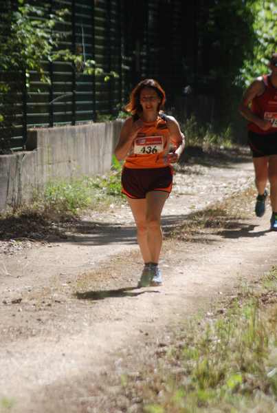 Cross Trofeo Città di Nettuno [TOP] [OPES]  (02/06/2018) 00177