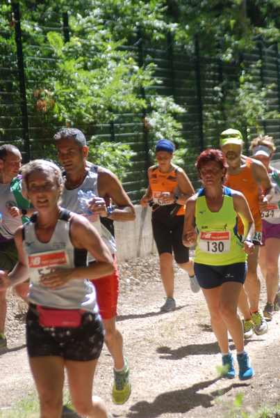 Cross Trofeo Città di Nettuno [TOP] [OPES]  (02/06/2018) 00184