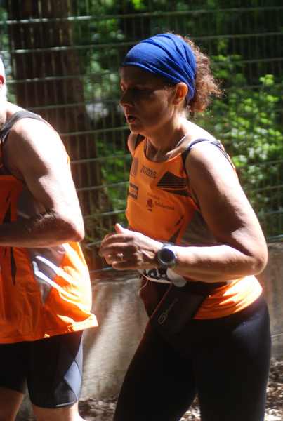 Cross Trofeo Città di Nettuno [TOP] [OPES]  (02/06/2018) 00187