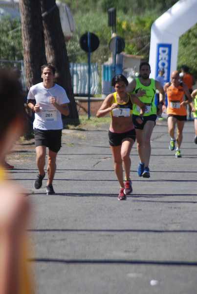 Maratonina 