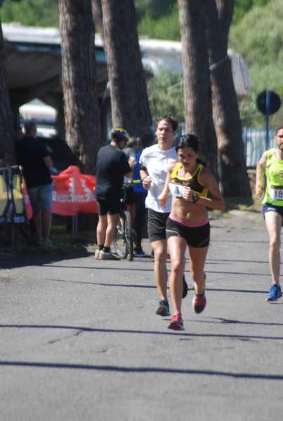 Maratonina 