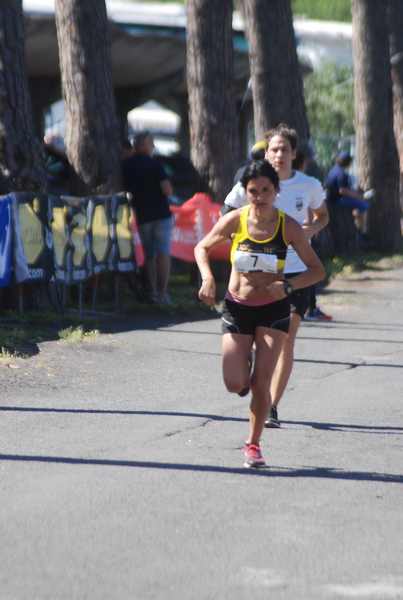 Maratonina 