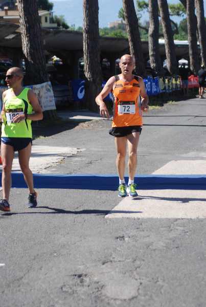 Maratonina 