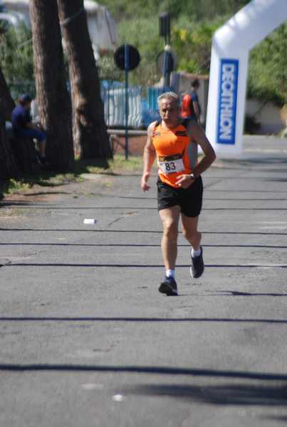 Maratonina 