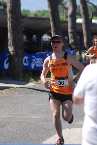 Maratonina 