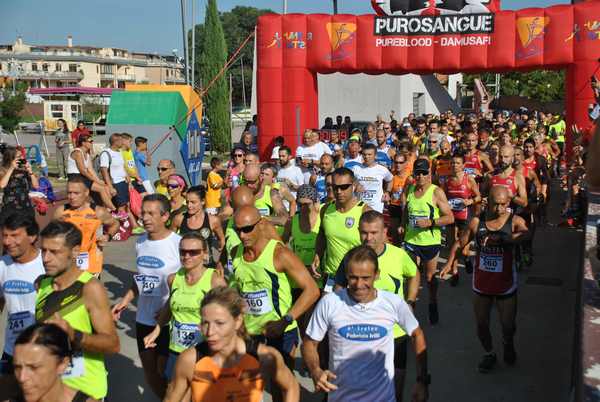 Corsa del S.S. Salvatore - Trofeo Fabrizio Irilli [OPES] (09/09/2018) 00010