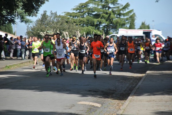 Giro delle Ville Tuscolane (25/04/2018) 00002