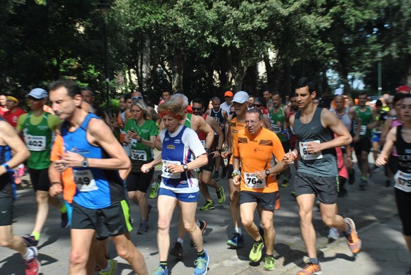 Giro delle Ville Tuscolane (25/04/2018) 00020