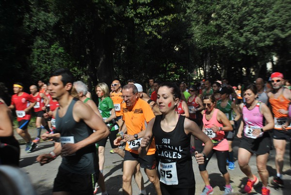 Giro delle Ville Tuscolane (25/04/2018) 00021