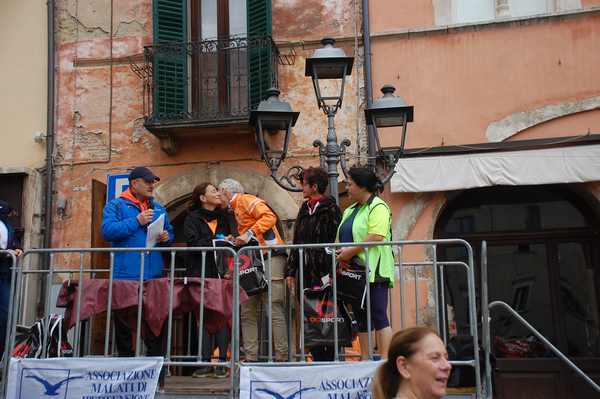 Gara della Solidarietà di Tagliacozzo [TOP GOLD] (04/11/2018) 00014