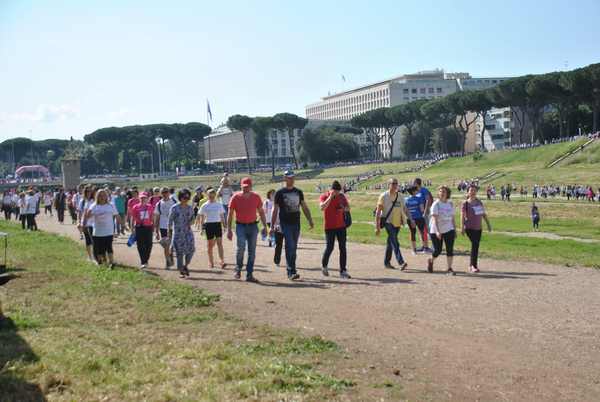 Race For The Cure [TOP] (20/05/2018) 00108