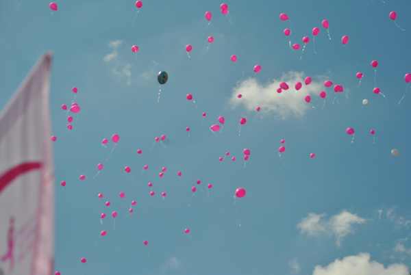 Race For The Cure [TOP] (20/05/2018) 00019