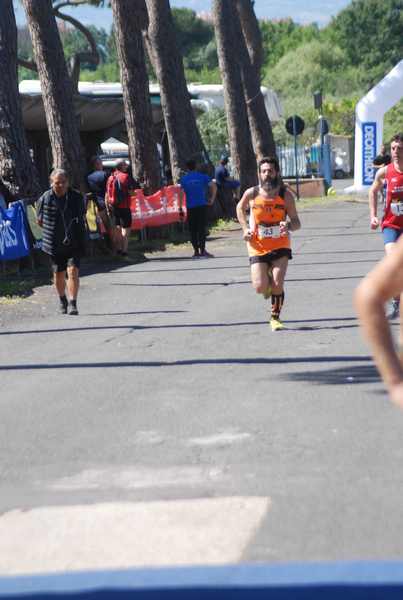 Maratonina 