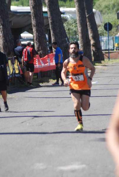 Maratonina 