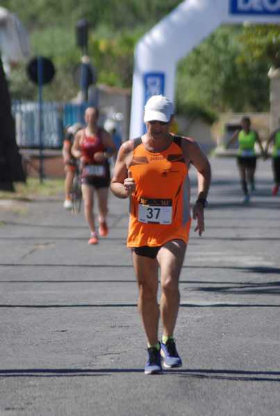 Maratonina 