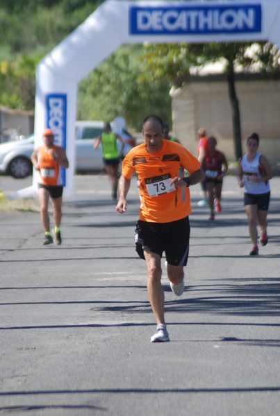 Maratonina 