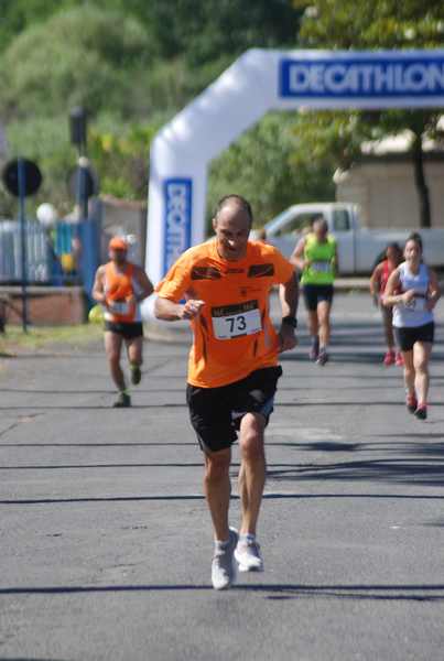 Maratonina 