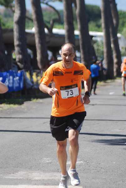 Maratonina 