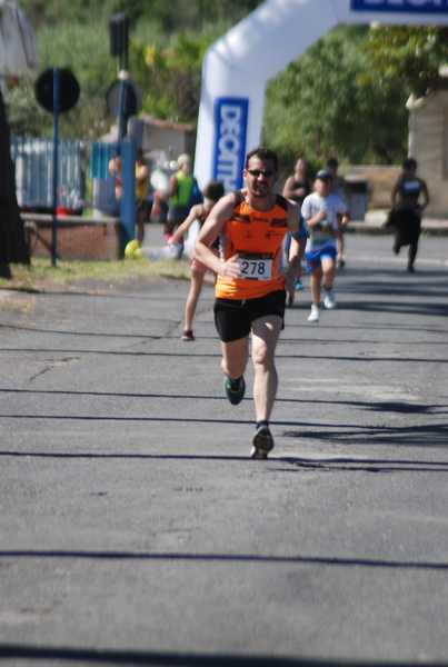 Maratonina 