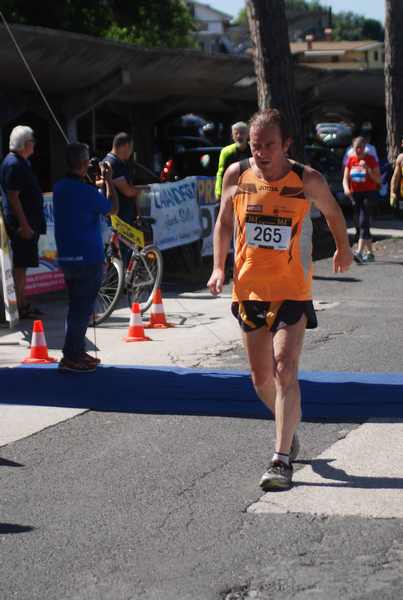 Maratonina 