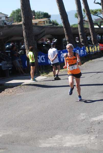 Maratonina 