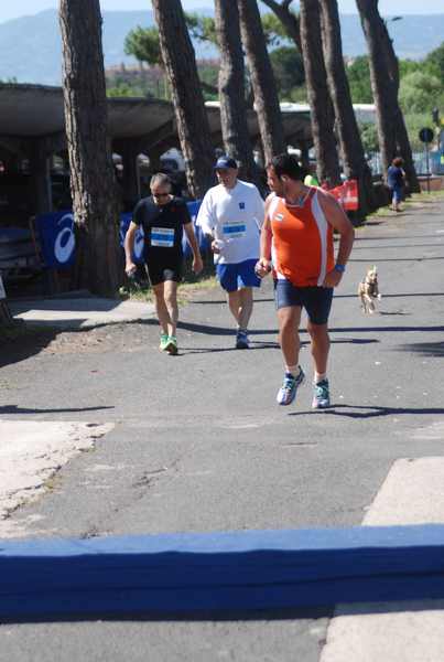 Maratonina 