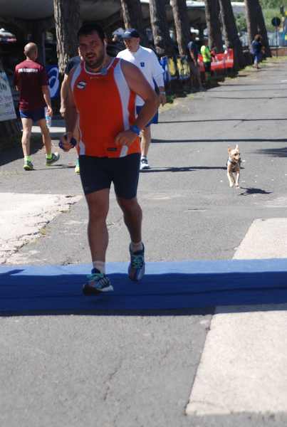 Maratonina 
