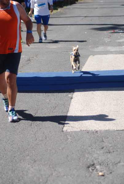 Maratonina 