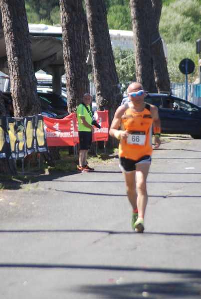 Maratonina 