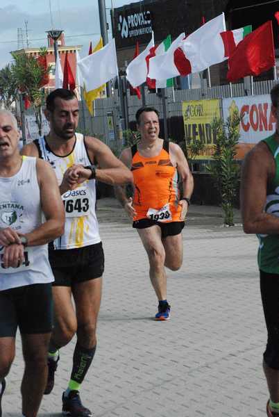 Trofeo S.Ippolito (07/10/2018) 00013