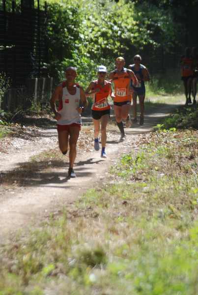 Cross Trofeo Città di Nettuno [TOP] [OPES]  (02/06/2018) 00068