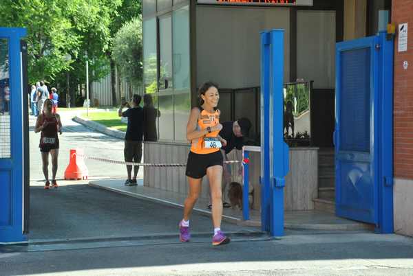 Maratonina 