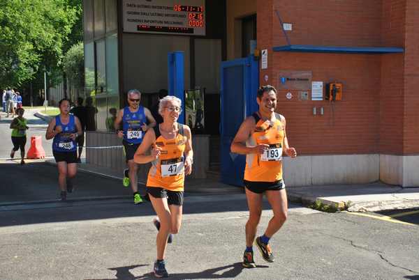 Maratonina 