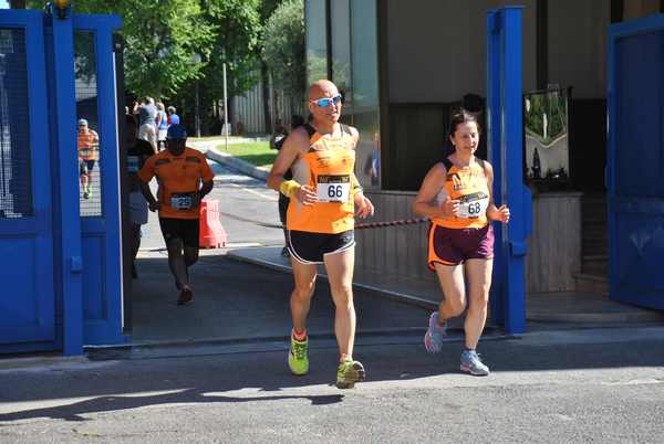 Maratonina 