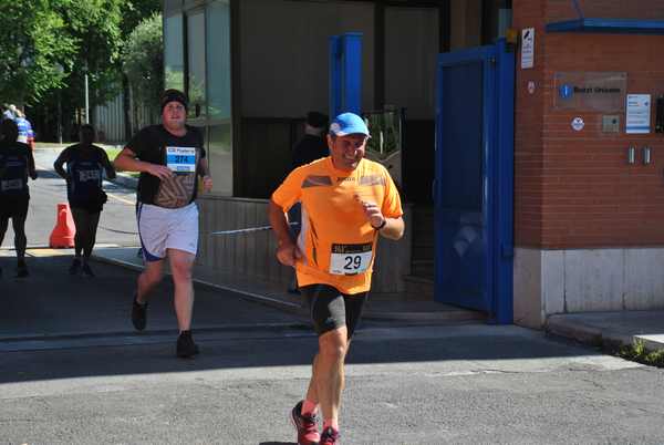 Maratonina 