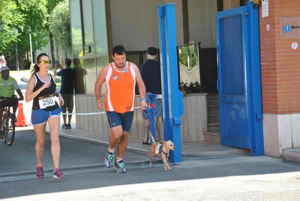 Maratonina 