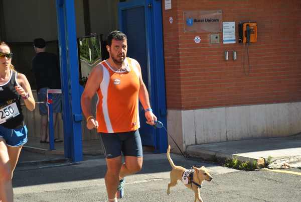 Maratonina 