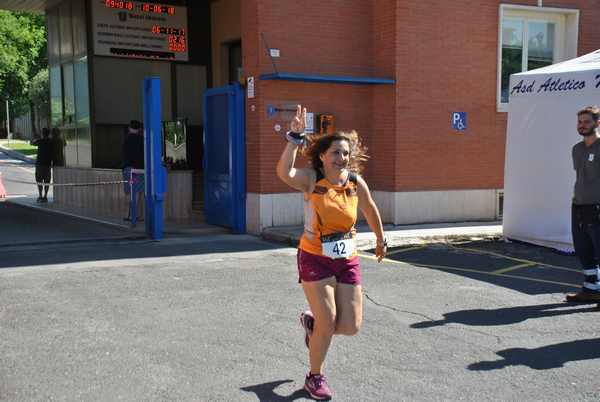 Maratonina 