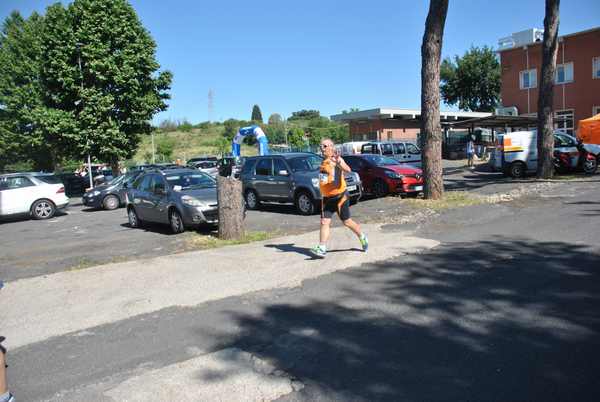 Maratonina 