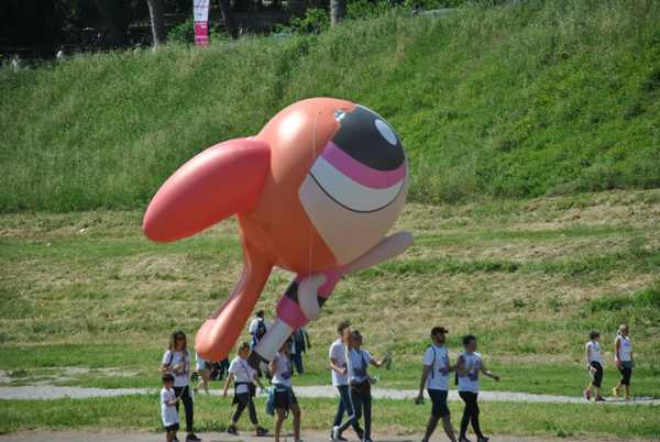 Race For The Cure [TOP] (20/05/2018) 00109