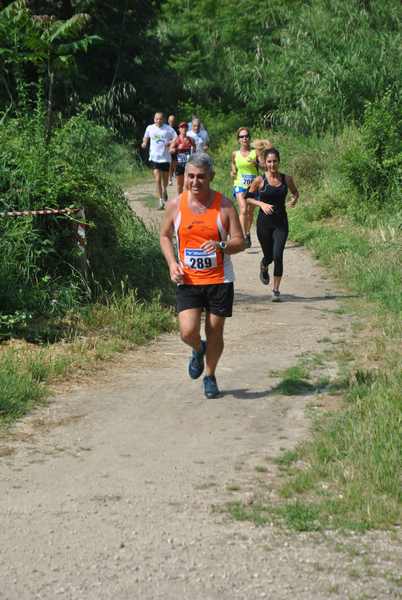 Race for Children [TOP] (13/05/2018) 00037