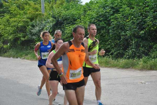 Maratonina di Villa Adriana (C.C.) (27/05/2018) 00019