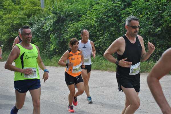 Maratonina di Villa Adriana (C.C.) (27/05/2018) 00038
