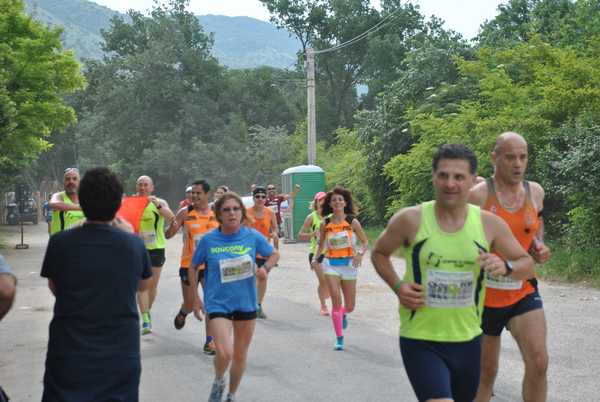 Maratonina di Villa Adriana (C.C.) (27/05/2018) 00044