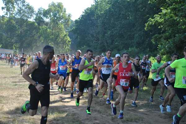 Cross Trofeo Città di Nettuno [TOP] [OPES]  (02/06/2018) 00006