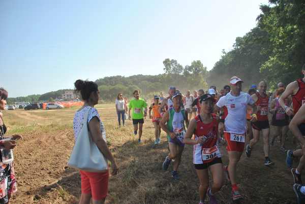 Cross Trofeo Città di Nettuno [TOP] [OPES]  (02/06/2018) 00015