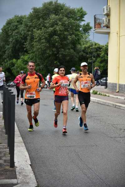 Maratonina di Villa Adriana [TOP] [C.C.R.]  (19/05/2019) 00008