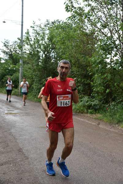 Maratonina di Villa Adriana [TOP] [C.C.R.]  (19/05/2019) 00014