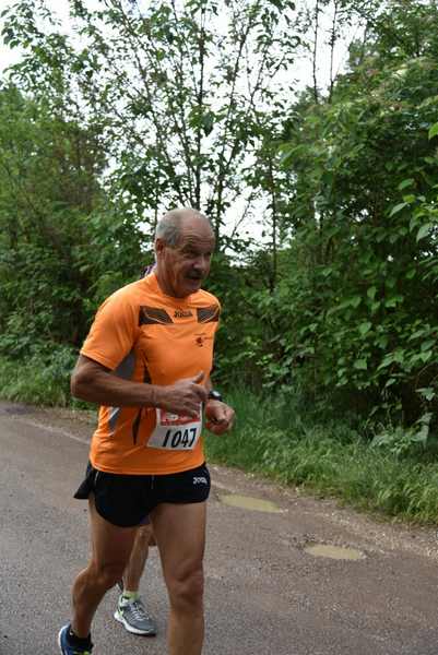 Maratonina di Villa Adriana [TOP] [C.C.R.]  (19/05/2019) 00018